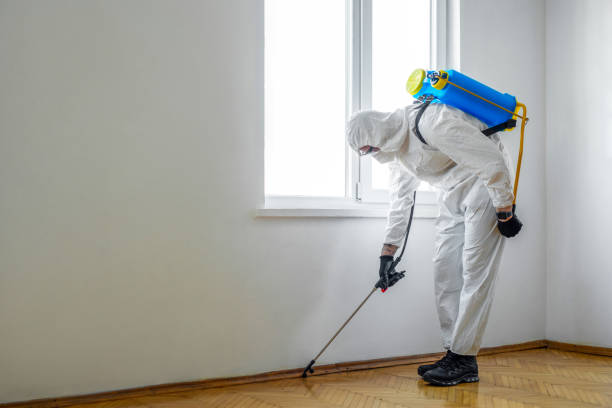 Best Emergency Pest Control  in Lovington, IL