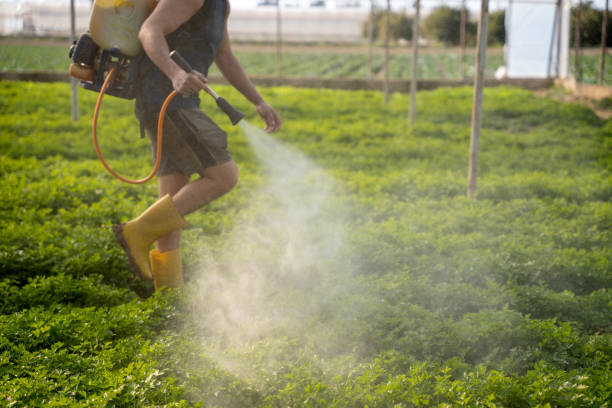 Best Pest Inspection Near Me  in Lovington, IL