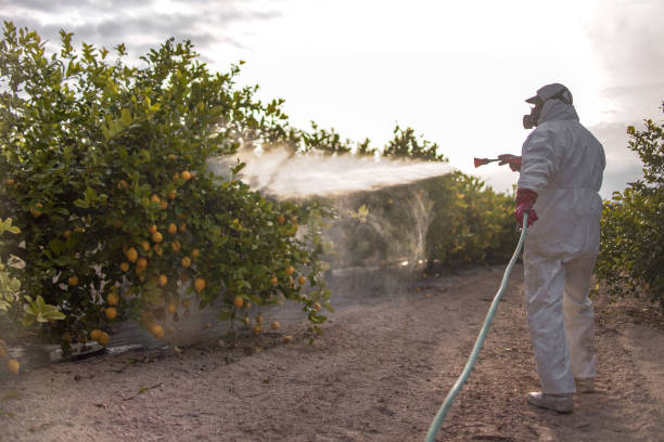 Best Local Pest Control Services  in Lovington, IL