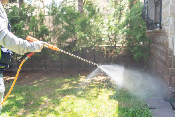 Reliable Lovington, IL Pest Control Solutions