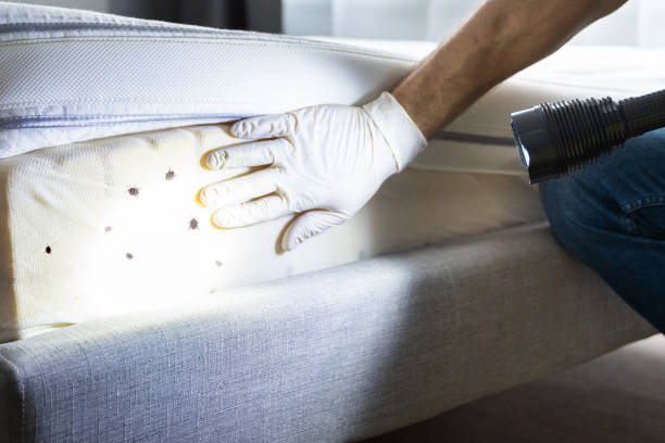 Best Pest Control for Businesses  in Lovington, IL