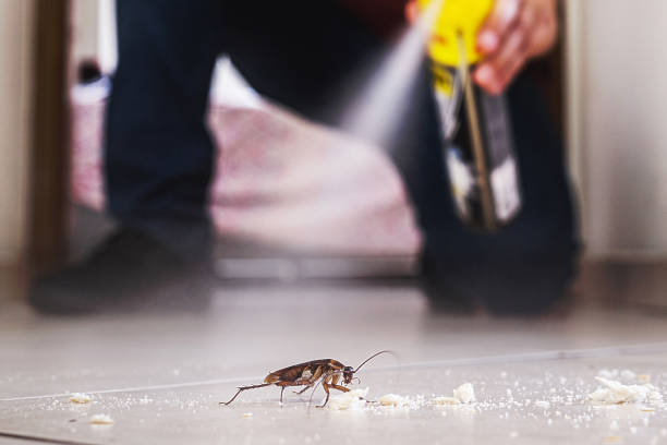 Best Pest Control Near Me  in Lovington, IL