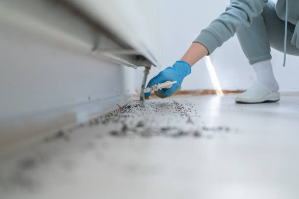 Best Emergency Pest Control  in Lovington, IL